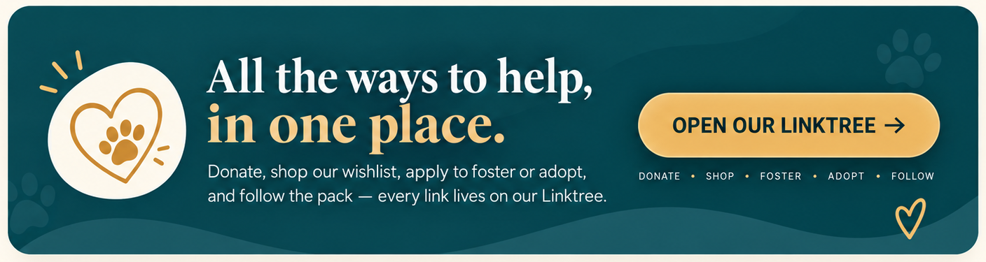 All the ways to help, in one place. Donate, shop our wishlist, apply to foster or adopt, and follow the pack — every link lives on our Linktree. Open our Linktree.